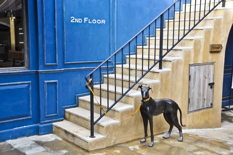 Watch dog. stock photo. Image of residence, lifestyle 22082382