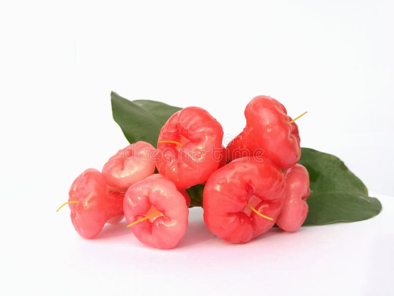 Water apple or rose apple stock photo. Image of ripe 80842010