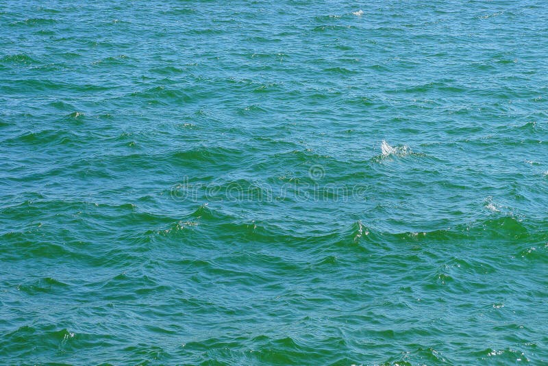 Blue Green Sea Water Stock Image Image Of Life Green 25906427