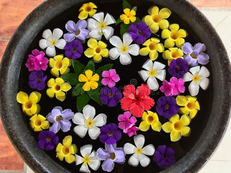 Water Bowl Filled with an Arrangement of Colourful Floating Flowers
