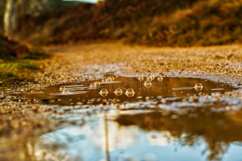 Bubbles from the Rain in a Puddle Stock Image Image of abstract