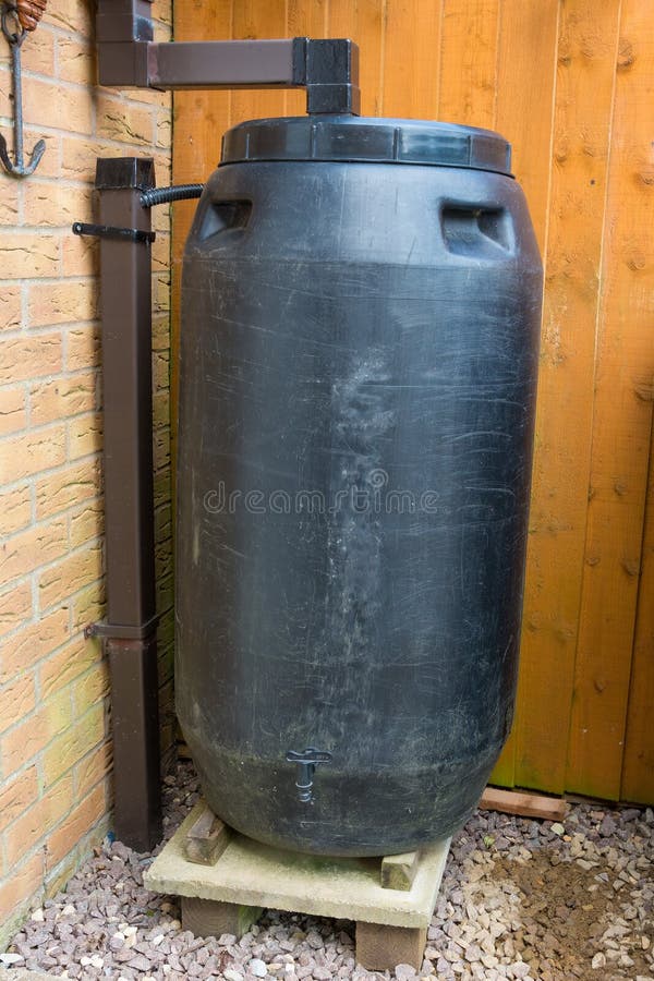 Water-butt For Collecting Rain Water Stock Image - Image of environmentally, watering: 35590485 - 웹