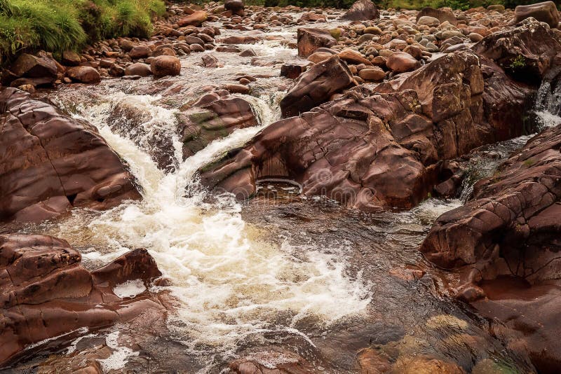 Cascade On A Creek In A Forest Nobody Moss On A Stone Stock Image