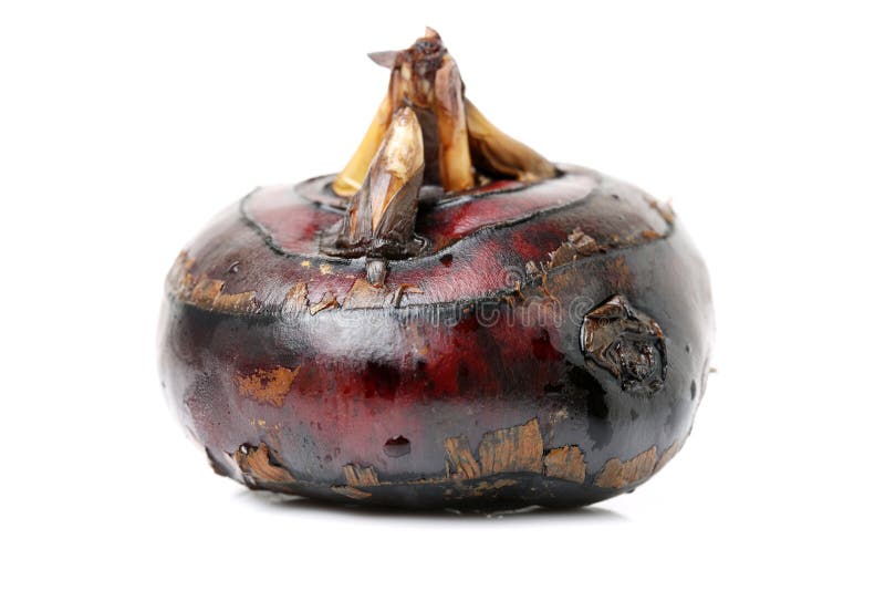 Water chestnuts stock photo. Image of agriculture, fruit 101321800