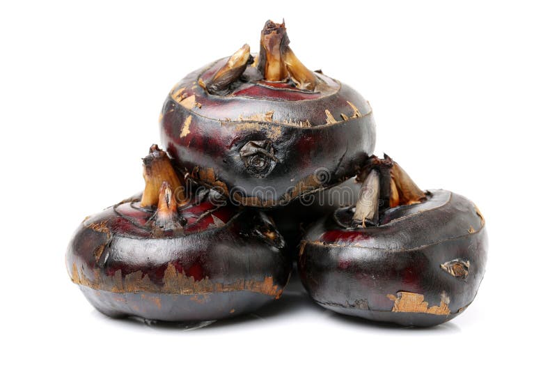 Water chestnuts stock photo. Image of agriculture, fruit 101321800