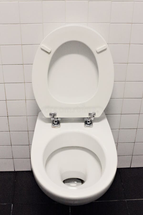 Water closet dirty stock photo. Image of domestic, filth 53655044