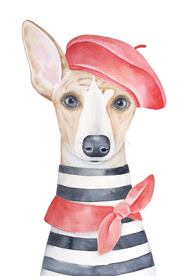 Water color portrait illustration of lovely dog wearing red french beret, classic knotted neck scarf and striped french tee-shirt.