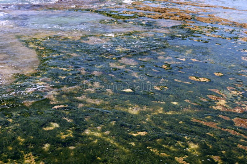 Shallow water color stock image