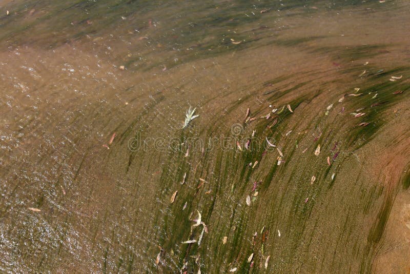 Shallow water color stock images