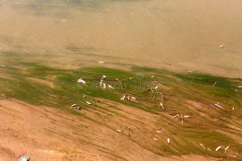 Shallow water color royalty free stock photo