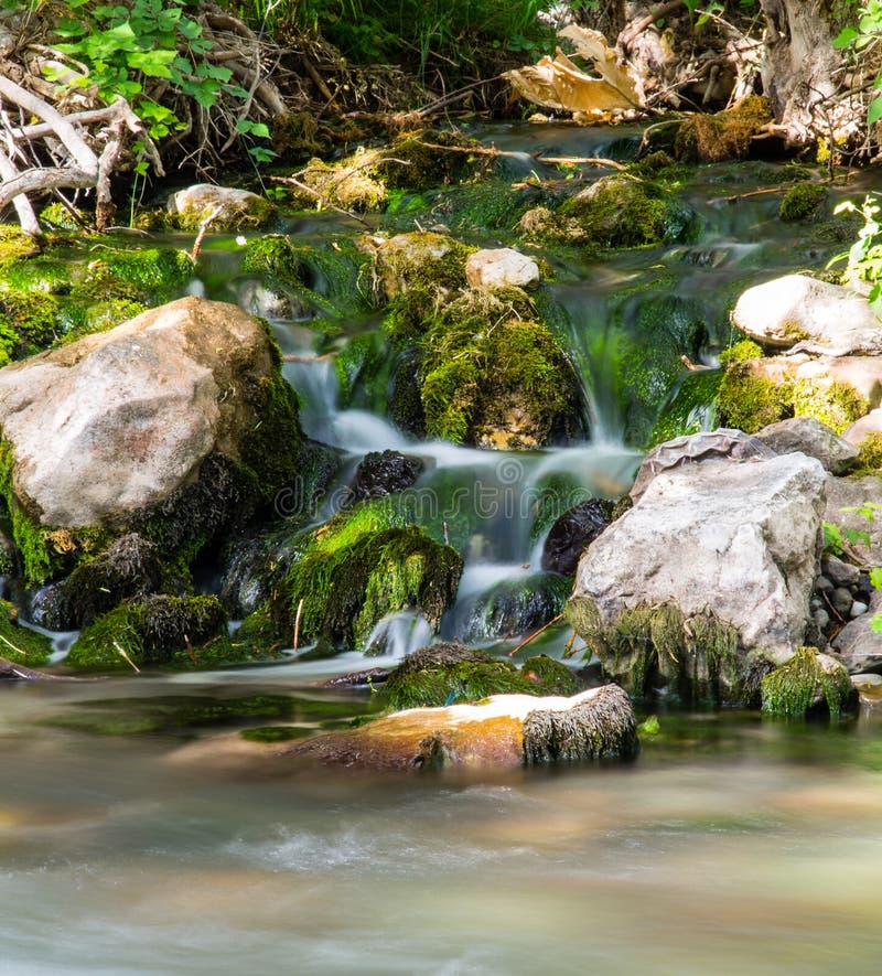 Water in a Creek in the Nature Stock Photo Image of beautiful
