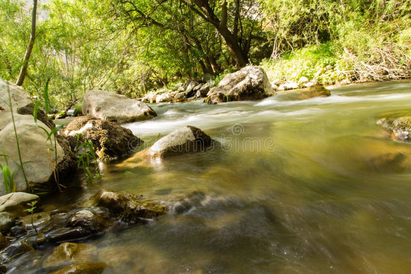 Water in a Creek in the Nature Stock Photo Image of forest, stream