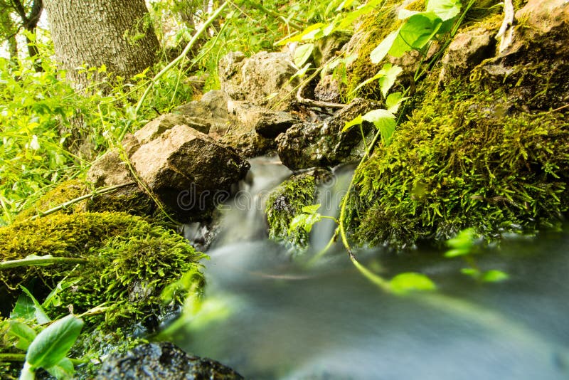 Water in a Creek in the Nature Stock Photo Image of outdoor, forest