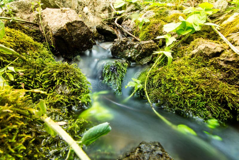 Water in a Creek in the Nature Stock Photo Image of travel, water