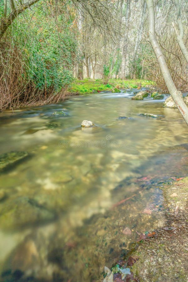 Water Current in a River , Long Exposure Stock Image Image of