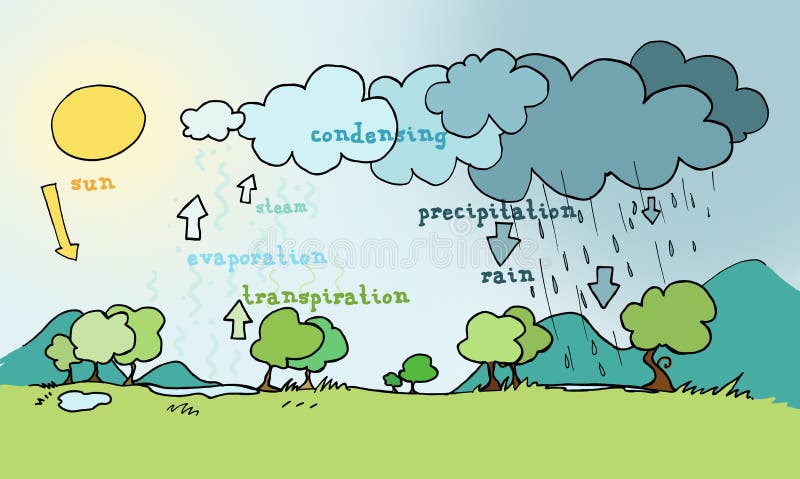 Water cycle stock illustration Water cycle stock illustration
