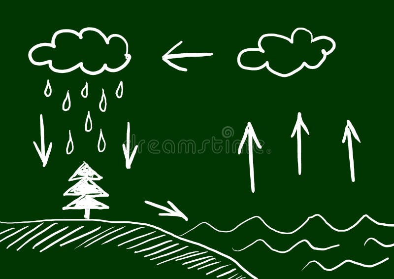 Water Cycle Project Drawing | How to Draw Easy water cycle easily | Water  Cycle easy project | - YouTube