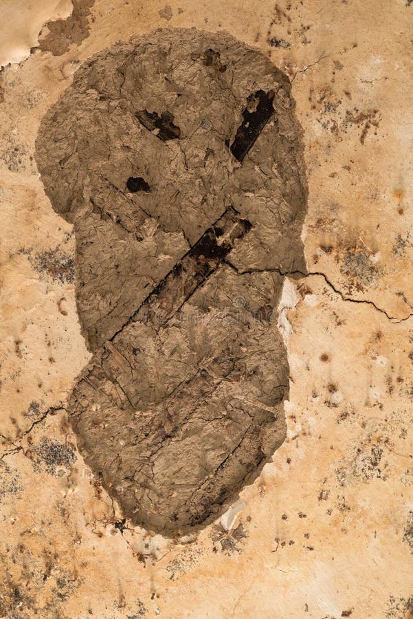 Water Damaged Ceiling in an Old