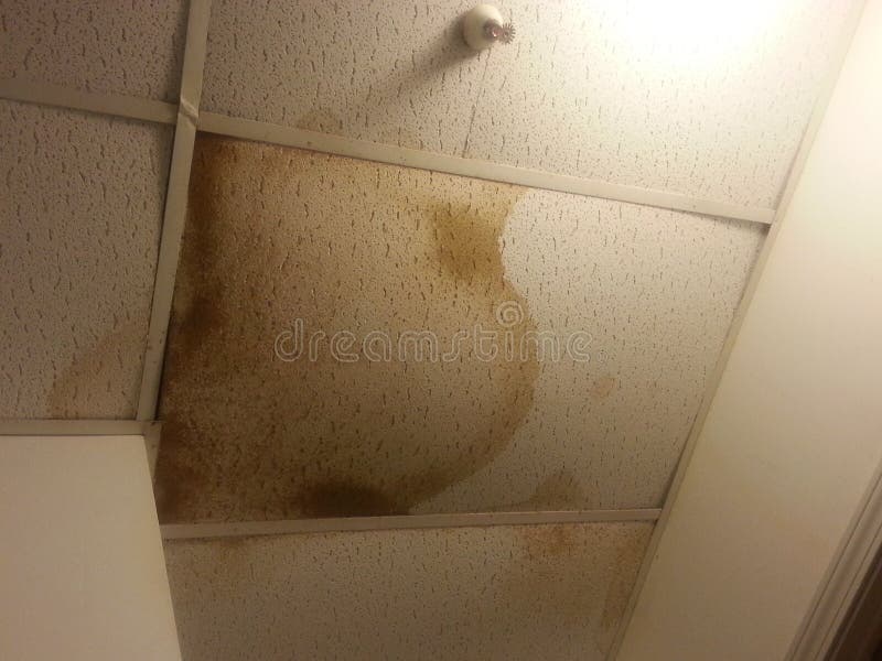 Water Damaged Ceiling Tiles Stock Image Image of caused