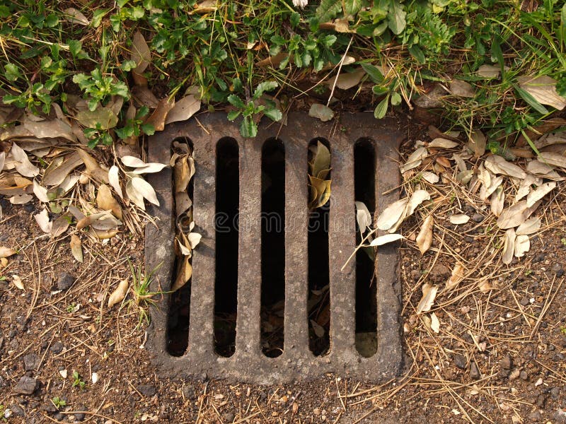 Water Drain Cover by the Side of a Path Stock Photo Image of path