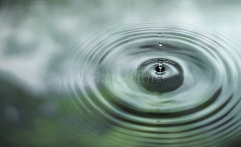 Agua es un goteo sobre el superficie de Agua en selva reflexión de hojas verdes.