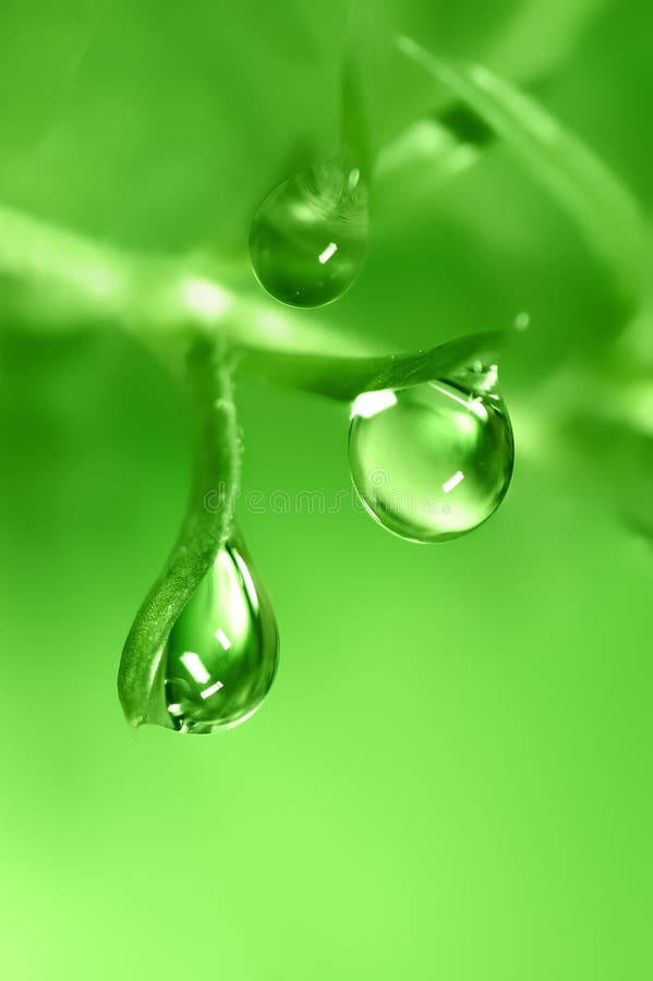 Water Drop stock image