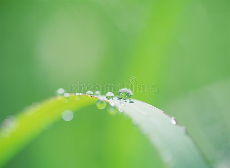 Water Drop