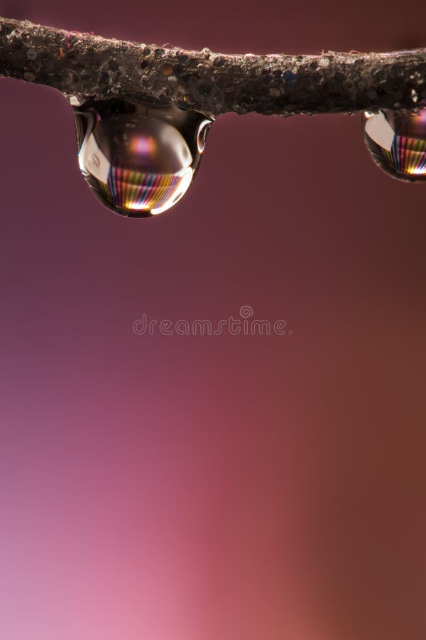 Water drop