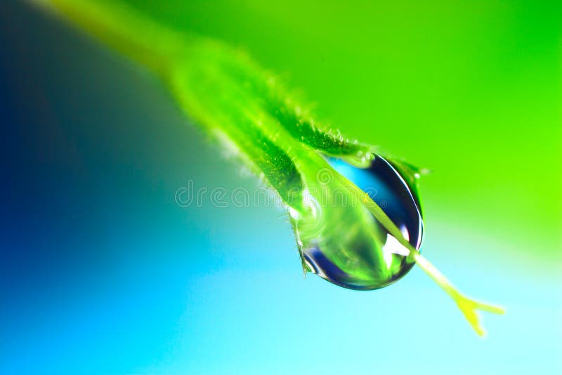 Water Drop stock photography