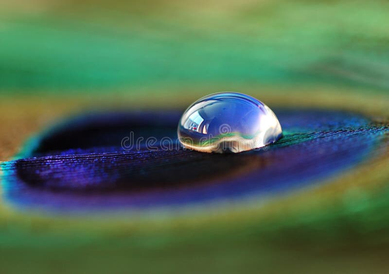 Water drop