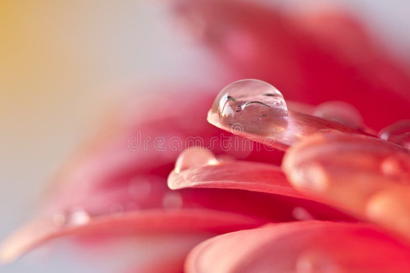 Water drop