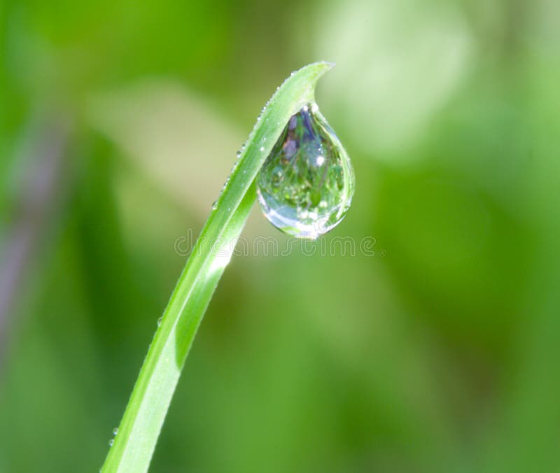 Water-drop on blade