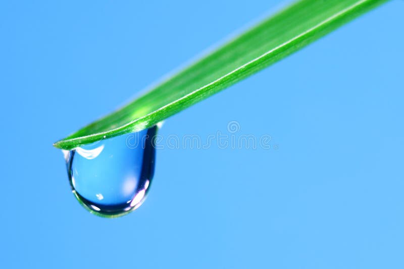 Water drop on grass