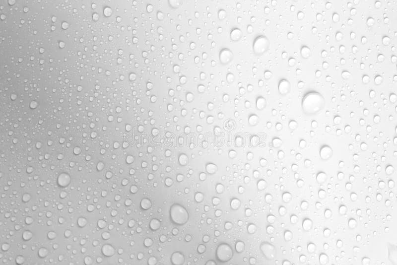 Water Drop on White Background Stock Image Image of surface, drop