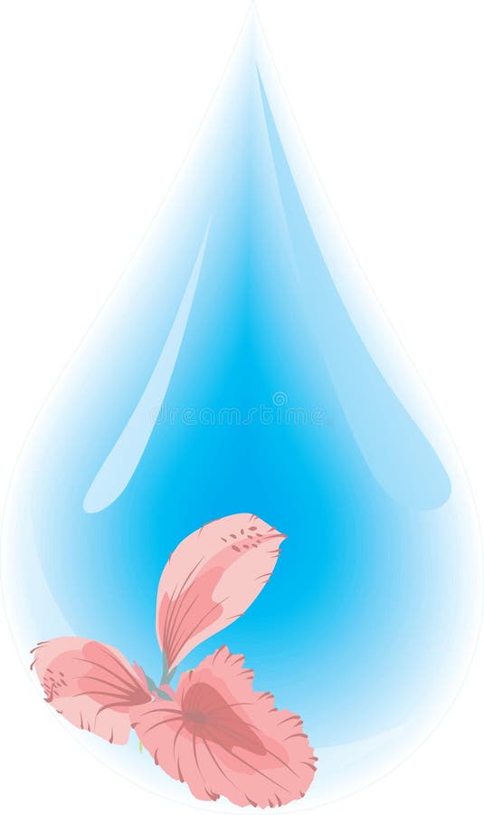 Water droplet vector illustration