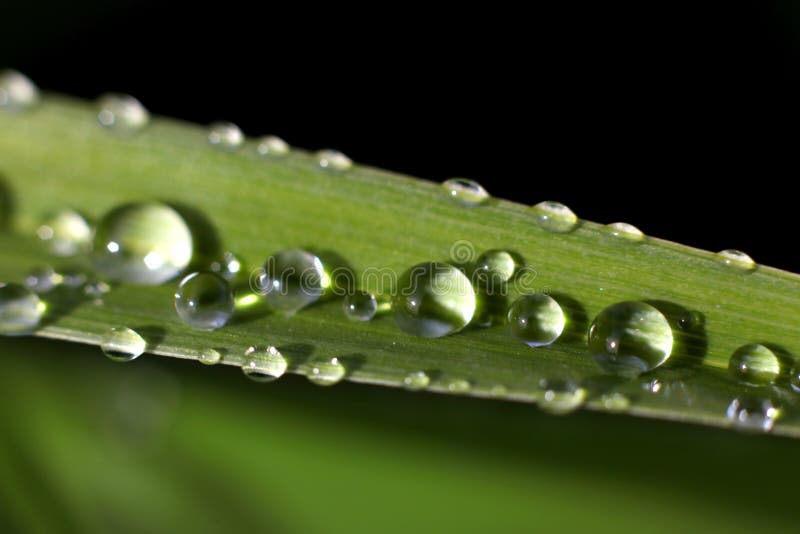 Water droplets