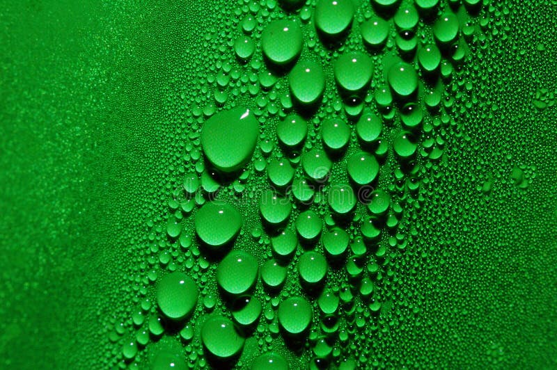 Water Droplets in Green