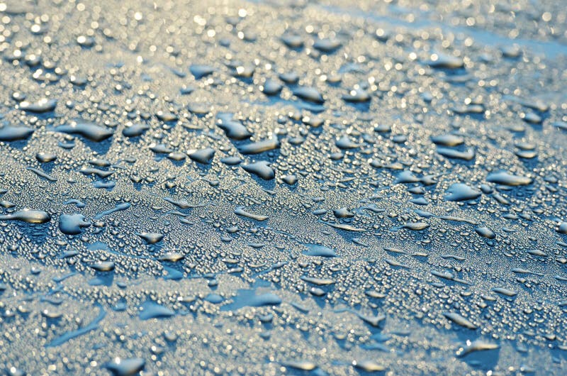 Water droplets on hood of car