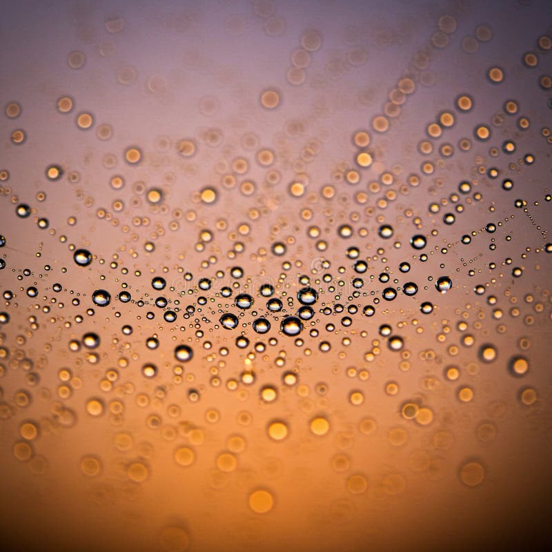 Water droplets suspended on a spider web create a mesmerizing pattern against a vector illustration