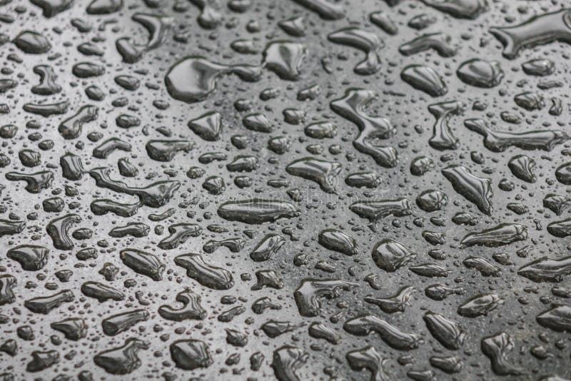 Water Drops on Black Blackground . Stock Image Image of pure, nature