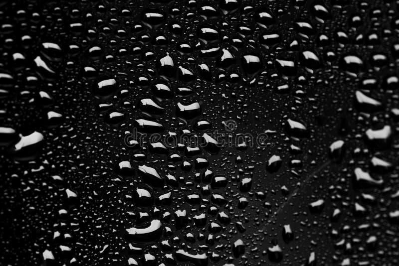 Water Drops on Black Surface Stock Photo Image of space, circle 234047800