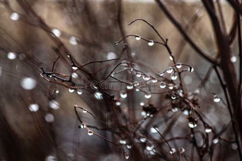 weathered raindrop coupon weathered raindrop coupon