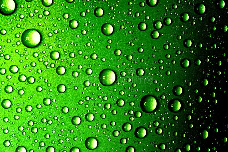 Water Drops And Fresh Green Leaves Stock Image - Image of leaf, lush ...