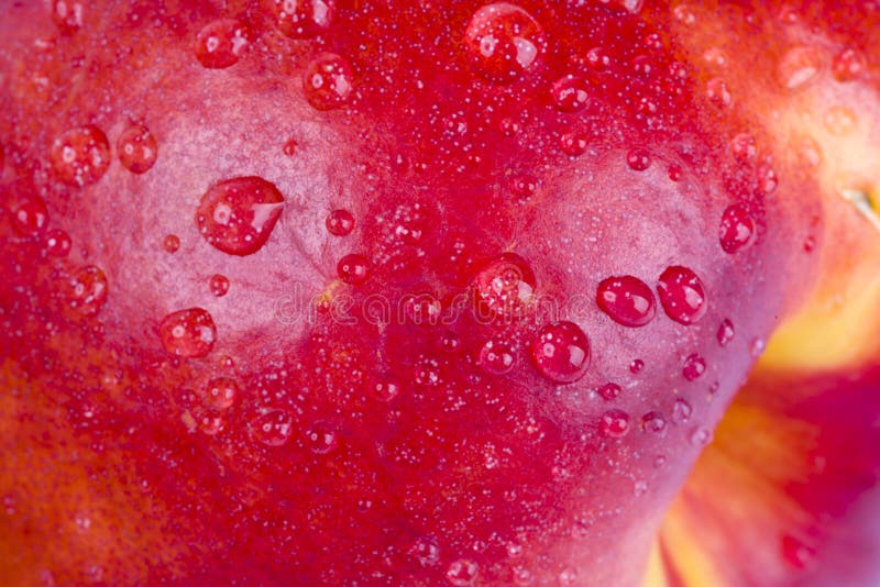 Image fruit - red apple - free printable images - Img 27812.