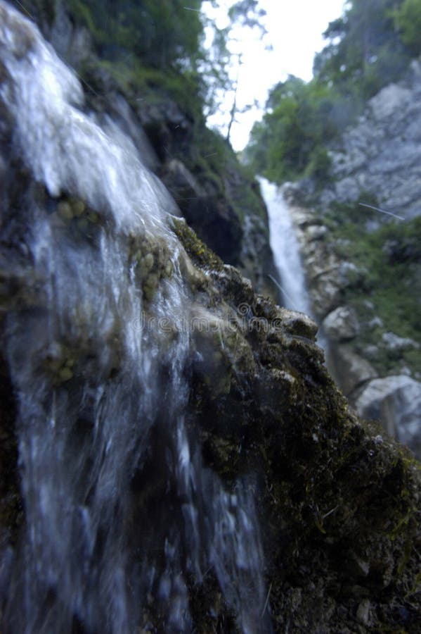 Water Falling Down a Natural Waterfall Stock Image Image of drinking