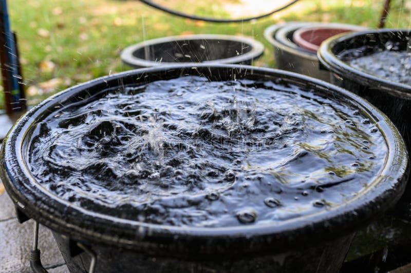Water Falling with Splashing in Receive Bucket Stock Photo Image of
