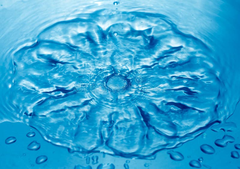 Water Flower royalty free stock photo Water Flower royalty free stock photo