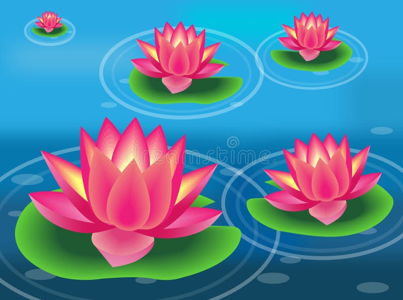 Water flower and lily pad