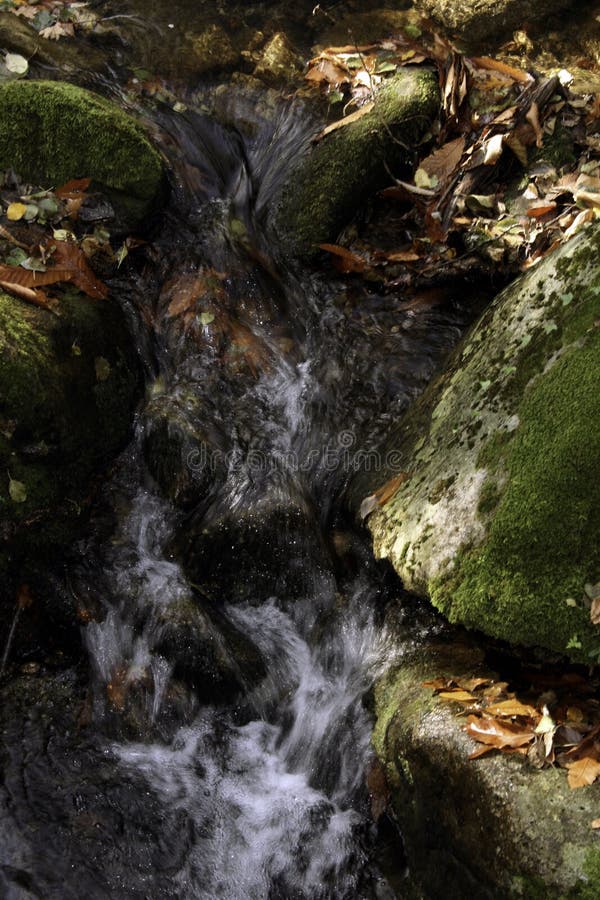 Water Flowing Between The Rocks Full Of Moss Stock Image Image Of