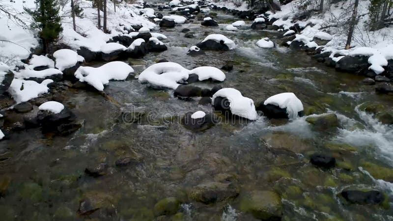 Water flows in a river around a log covered with snow. Redfish video